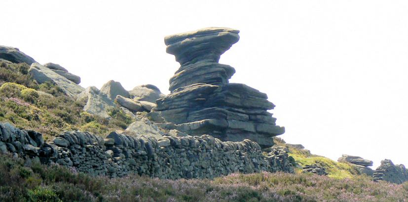 Salt Cellar Salt Cellar
